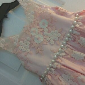 Sparkly Pink Princess Dress